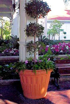 Palmetto Planters