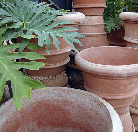 Eye of the Day Garden Design Center