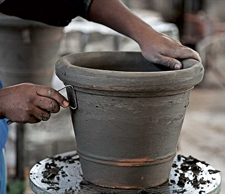 Eye of the Day Garden Design Center