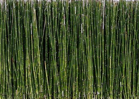 Fence Fabric