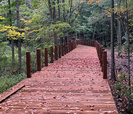 Fiberwalk, Inc.
