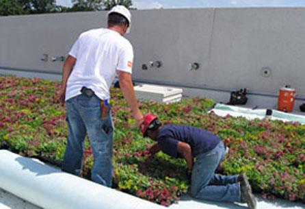 GreenGrid Roofs