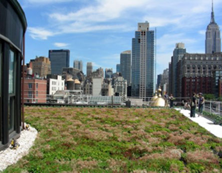 Green Roof Blocks