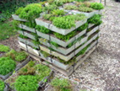 Green Roof Blocks