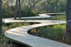 Nature Bridges