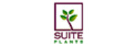 Suite Plants