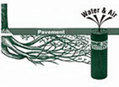 WANE Tree Preservation System